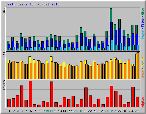 Daily usage for August 2013