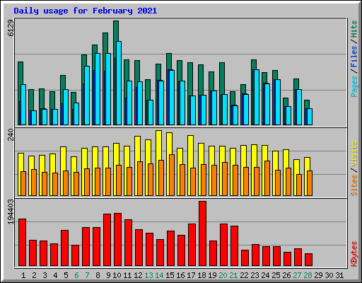 Daily usage for February 2021