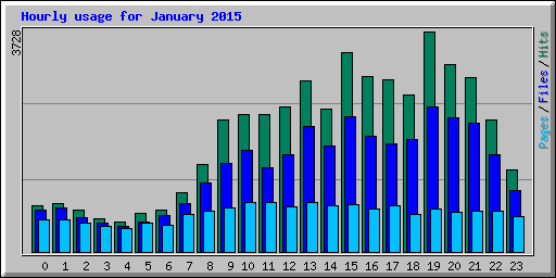 Hourly usage for January 2015