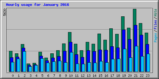 Hourly usage for January 2016