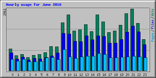 Hourly usage for June 2016