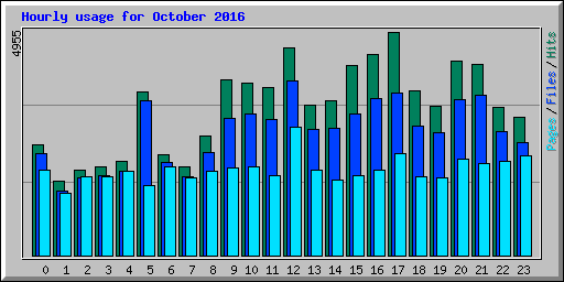 Hourly usage for October 2016