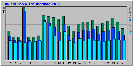 Hourly usage for December 2016