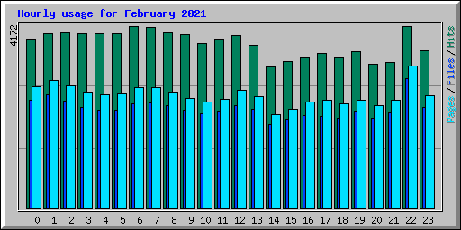 Hourly usage for February 2021