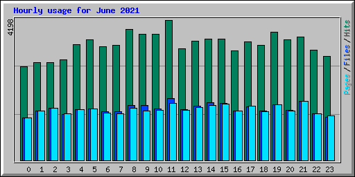 Hourly usage for June 2021