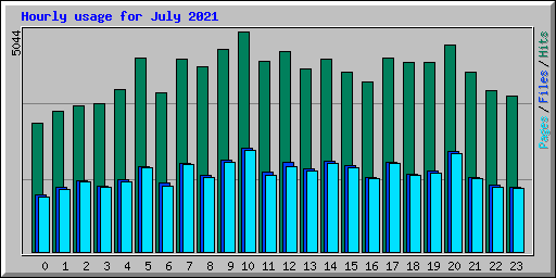 Hourly usage for July 2021
