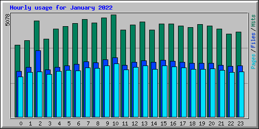 Hourly usage for January 2022