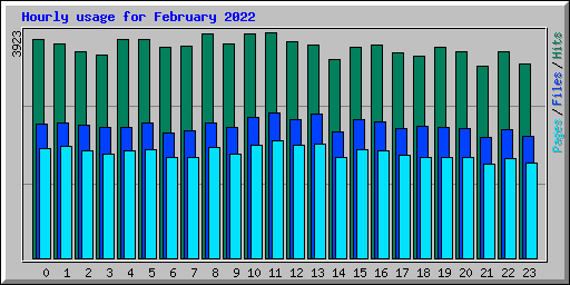 Hourly usage for February 2022