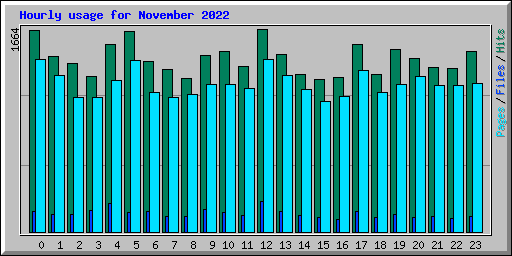 Hourly usage for November 2022