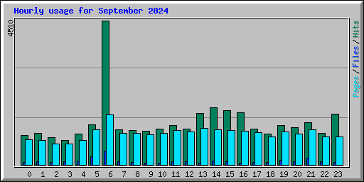 Hourly usage for September 2024