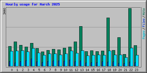 Hourly usage for March 2025