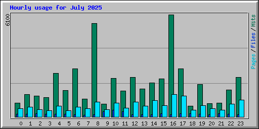 Hourly usage for July 2025