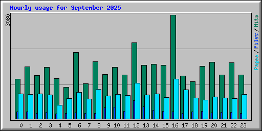 Hourly usage for September 2025