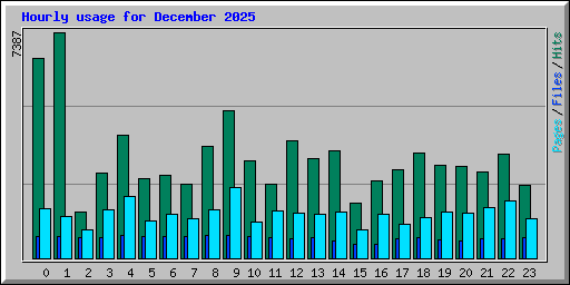 Hourly usage for December 2025