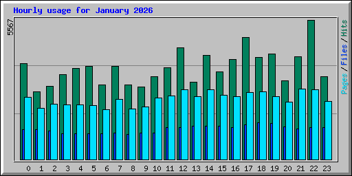 Hourly usage for January 2026