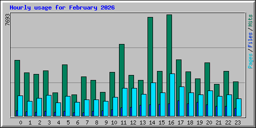 Hourly usage for February 2026