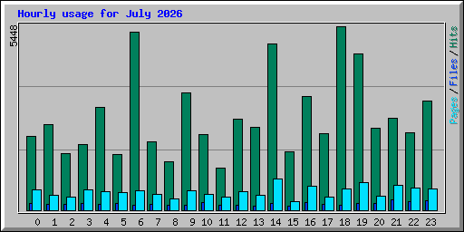 Hourly usage for July 2026
